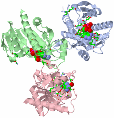 Image Asym. Unit - sites