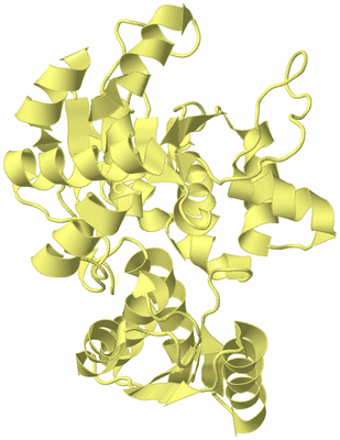 Image Biological Unit 4