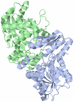 Image Biological Unit 7