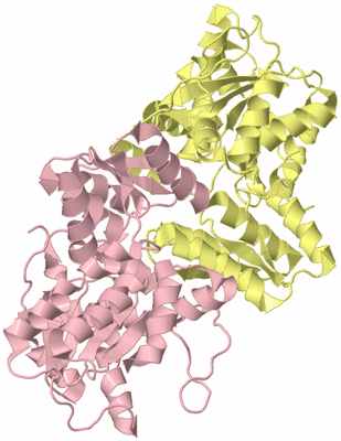 Image Biological Unit 8