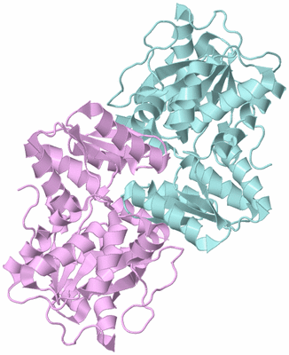 Image Biological Unit 9