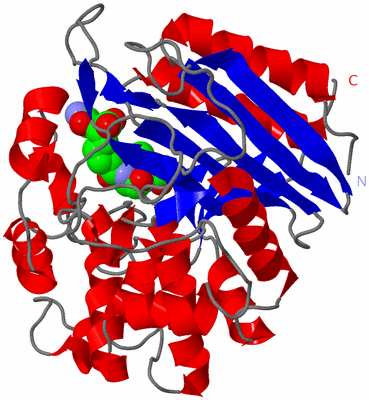 Image Asym./Biol. Unit