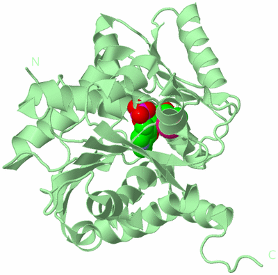 Image Biological Unit 2