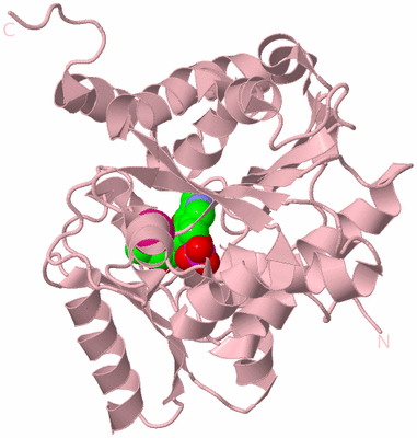 Image Biological Unit 3