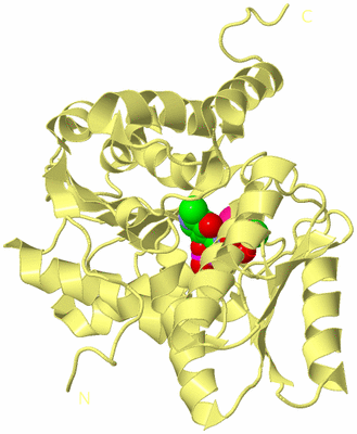 Image Biological Unit 4