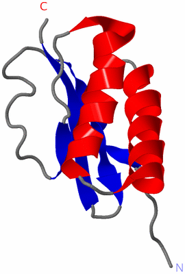 Image NMR Structure - model 1