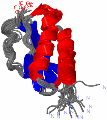 Image NMR Structure - all models