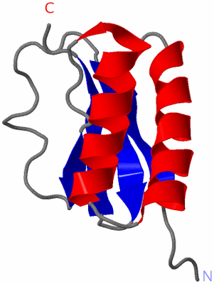 Image NMR Structure - model 1