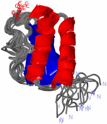 Image NMR Structure - all models