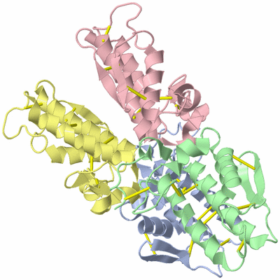 Image Asym./Biol. Unit