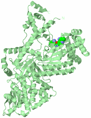 Image Biological Unit 2