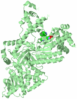 Image Biological Unit 2