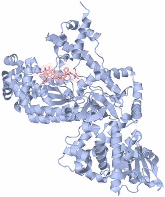 Image Biological Unit 1