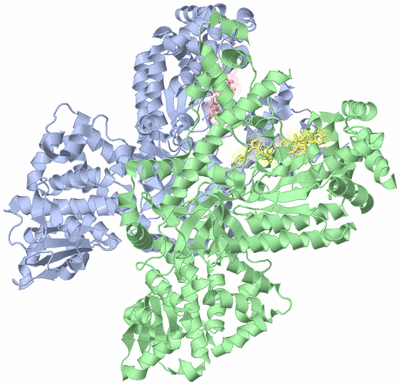 Image Biological Unit 3