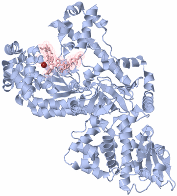 Image Biological Unit 1