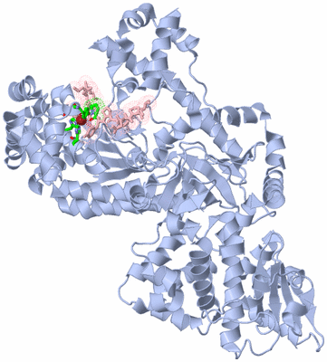 Image Biol. Unit 1 - sites