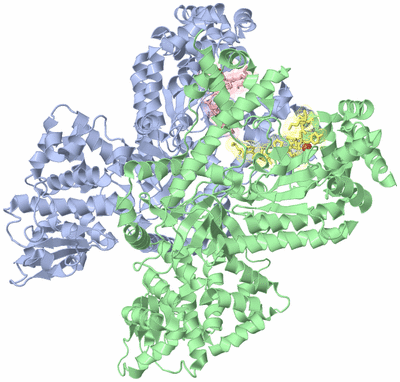 Image Biological Unit 3