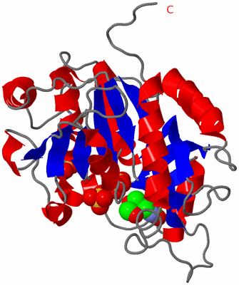 Image Asymmetric Unit