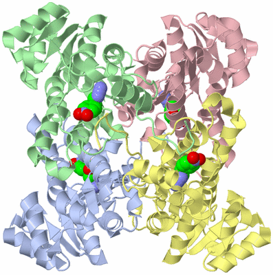 Image Asym./Biol. Unit