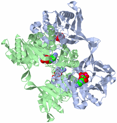 Image Biological Unit 1