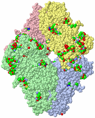 Image Asym./Biol. Unit - sites