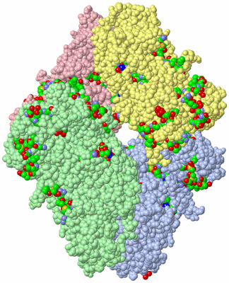 Image Asym./Biol. Unit - sites