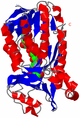 Image Asymmetric Unit