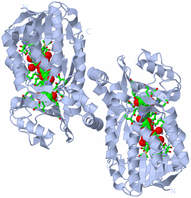Image Biol. Unit 1 - sites