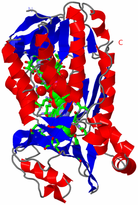 Image Asym. Unit - sites