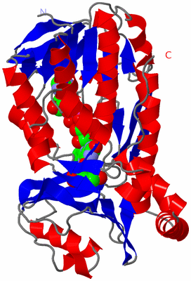 Image Asymmetric Unit
