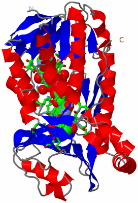 Image Asym. Unit - sites