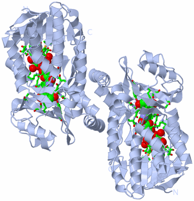 Image Biol. Unit 1 - sites