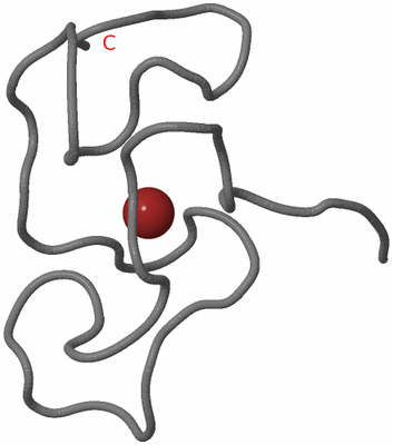 Image NMR Structure - model 1