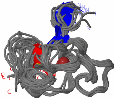 Image NMR Structure - all models