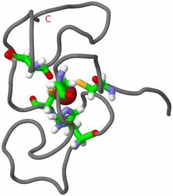 Image NMR Structure - model 1, sites
