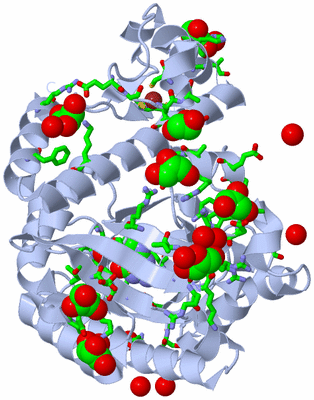 Image Biol. Unit 1 - sites