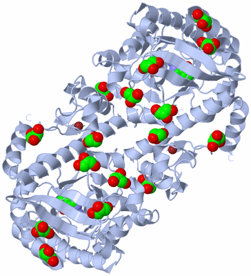 Image Biological Unit 2