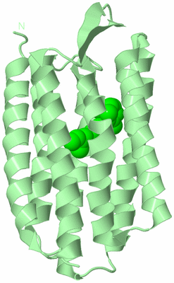 Image Biological Unit 2