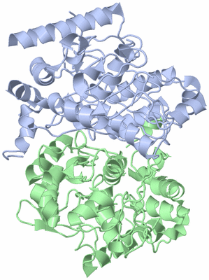 Image Asym./Biol. Unit