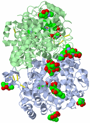 Image Biological Unit 1