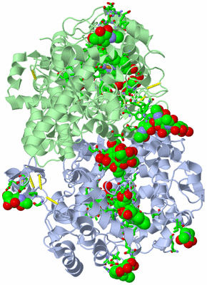 Image Biol. Unit 1 - sites