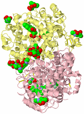 Image Biological Unit 2