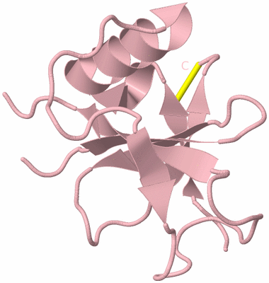 Image Biological Unit 3