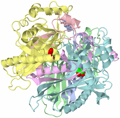 Image Asym./Biol. Unit