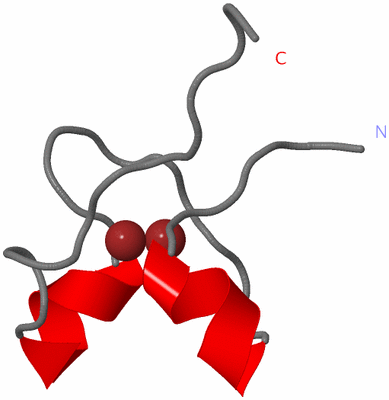 Image NMR Structure - model 1