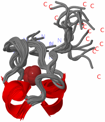 Image NMR Structure - all models