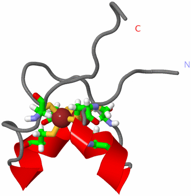 Image NMR Structure - model 1, sites