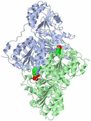 Image Asym./Biol. Unit