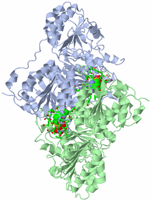 Image Asym./Biol. Unit - sites