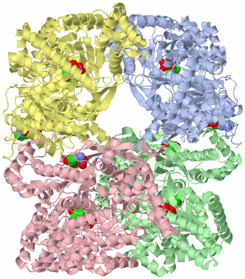 Image Asym./Biol. Unit